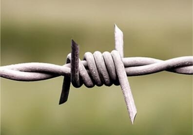 Dauerhafter einzelner verdrehter Ziehharmonika-Stacheldraht-Korrosionsschutz und Oxidation