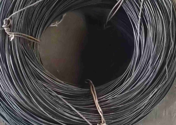 Ringsum Draht Uns S31600/Lärm 1,4401/Aisi 316 8mm Edelstahl-316