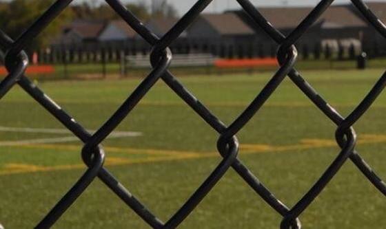 Stärkste Hochsicherheitskettenverbindung Wire Mesh für Zaun erfüllt oder übersteigt ASTM-Standards